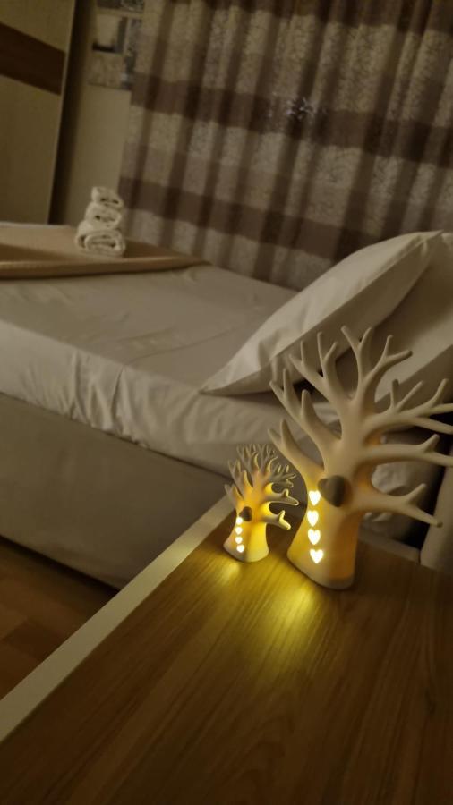 Dudi Apartment